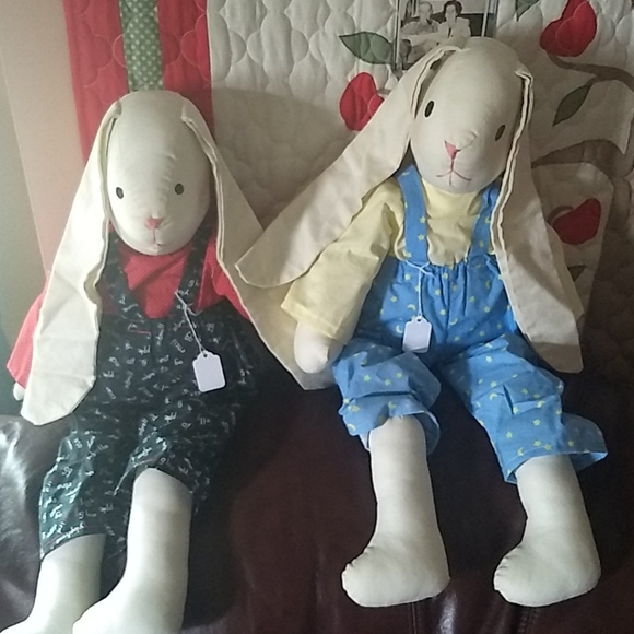 Bunny rabbit - Picture 6 of 6